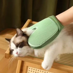 Captura de pantalla 2026-03-05 101128