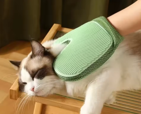 Captura de pantalla 2026-03-05 101128